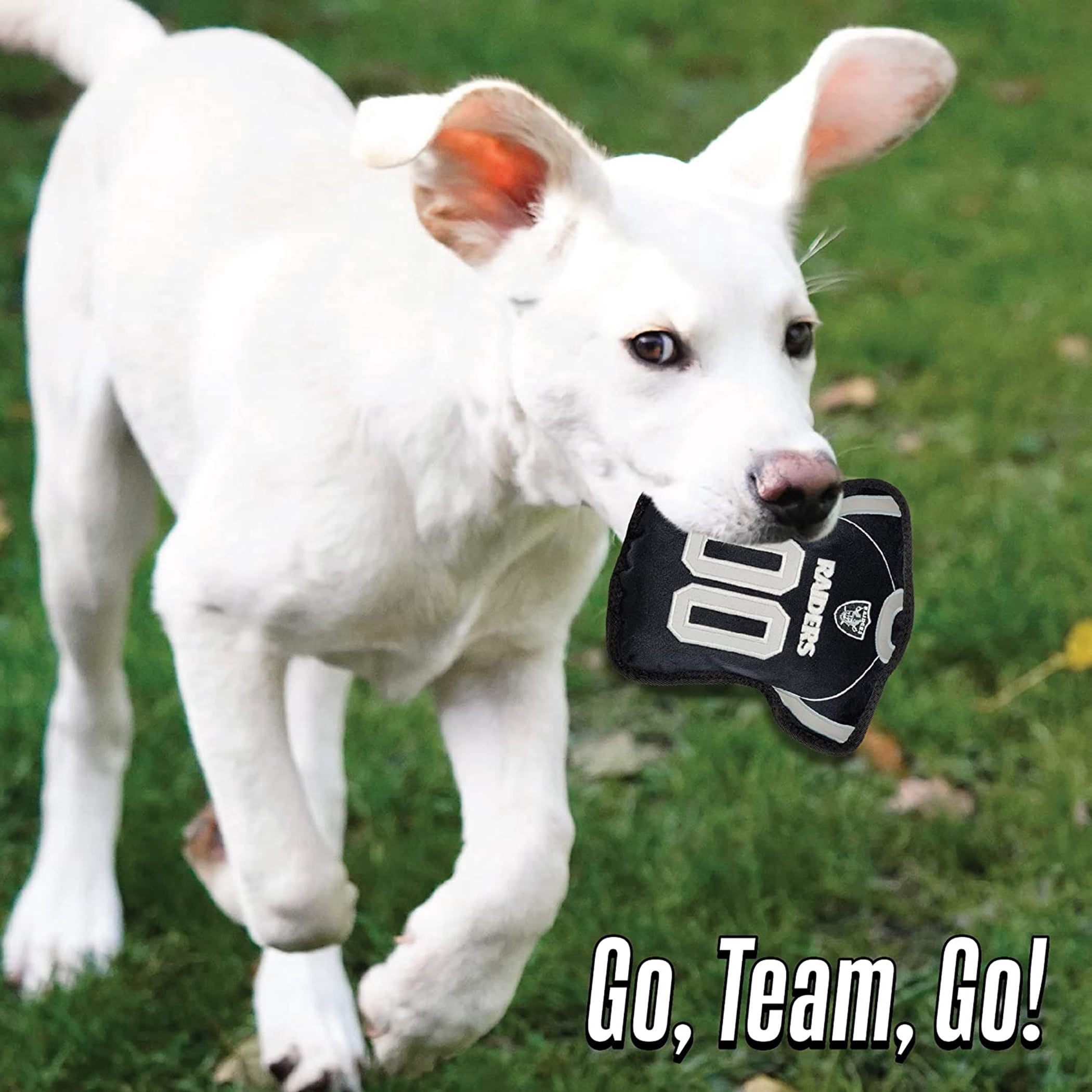 NFL Tough Jersey Pet Dog Toy Premium Quality with Built-in Squeaker Chew Toy