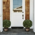 thumbnail image 5 of Pure Garden 21-Inch Indoor/Outdoor Artificial Boxwood Plant for Home Decor, 5 of 7