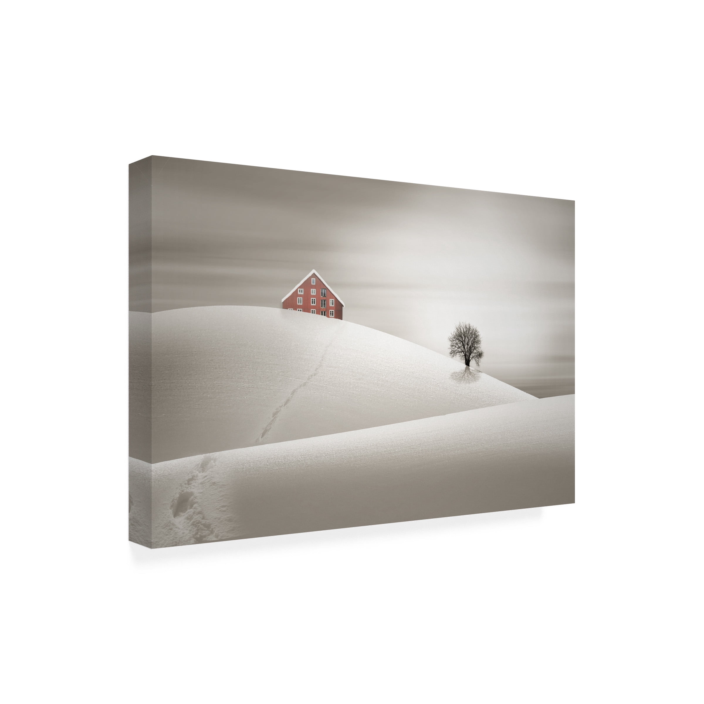 Agniribe 'Winter' Canvas Art