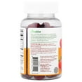 thumbnail image 2 of Lifeable Kids Probiotic With Prebiotic Fiber Gummies, Berry, 60 Gummies, 2 of 4