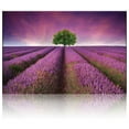 thumbnail image 2 of wall26 - Lavender Field Rows and a Lone Tree - Canvas Art Home Art - 12x18 inches, 2 of 5