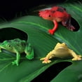 thumbnail image 3 of Mini Figurines Set - Realistic Models for Arts & Crafts Decorative Collectibles for Kids & Adults, 3 of 3