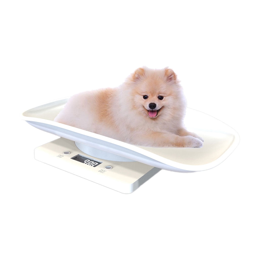 New Born Digital Scale Weigh Small Pet Baby 1G-10Kg Multi-Function High Precision for Cat Dog Rat Parrots Hamster Rabbit