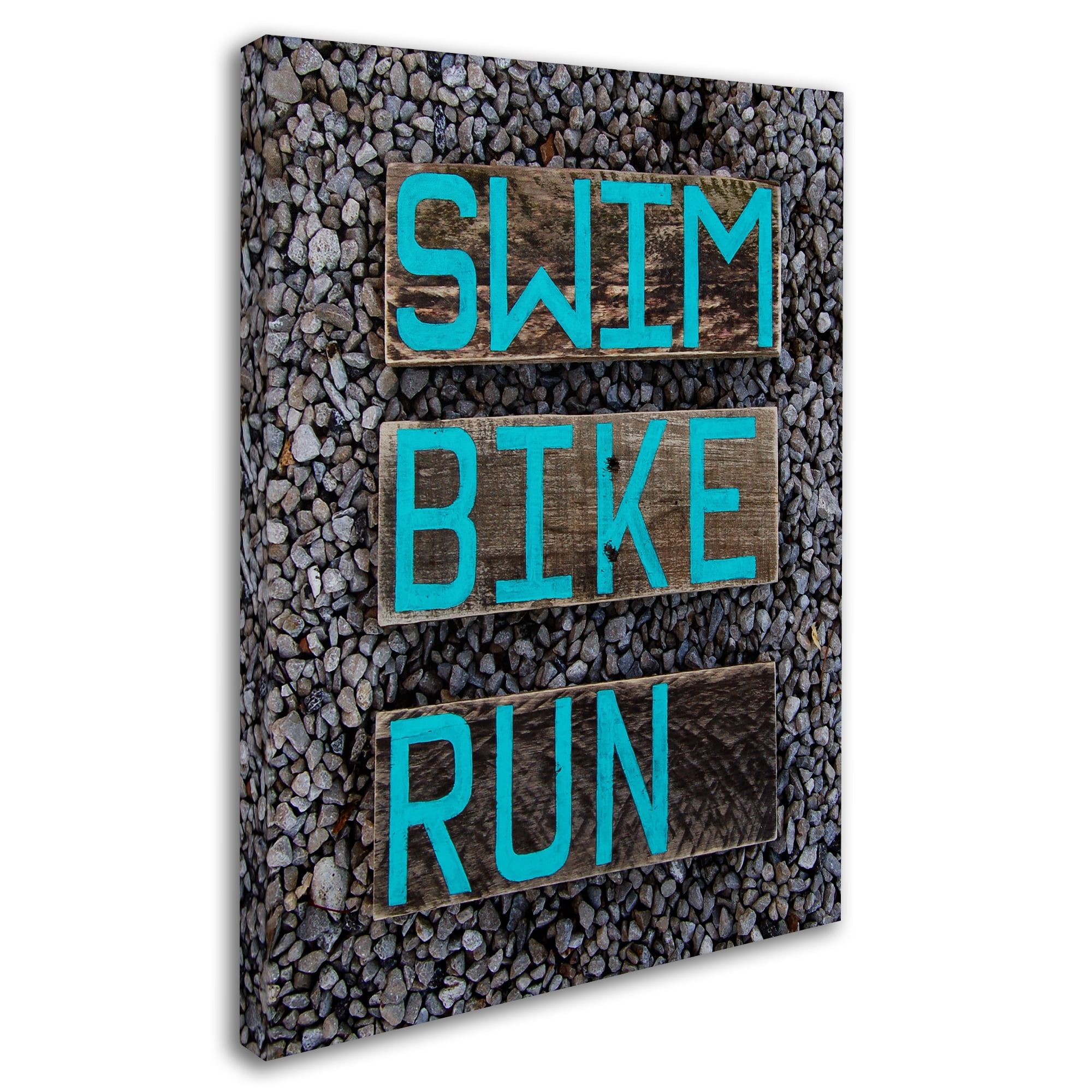 Trademark Fine Art 'The Triathlete' Canvas Art by Nicole Dietz