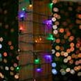 thumbnail image 6 of Novelty Lights Multicolored True Twinkle (100% Twinkle) 5MM LED Christmas String Lights 50 Wide Angle Bulbs (Green Wire, 25 Feet), 6 of 7