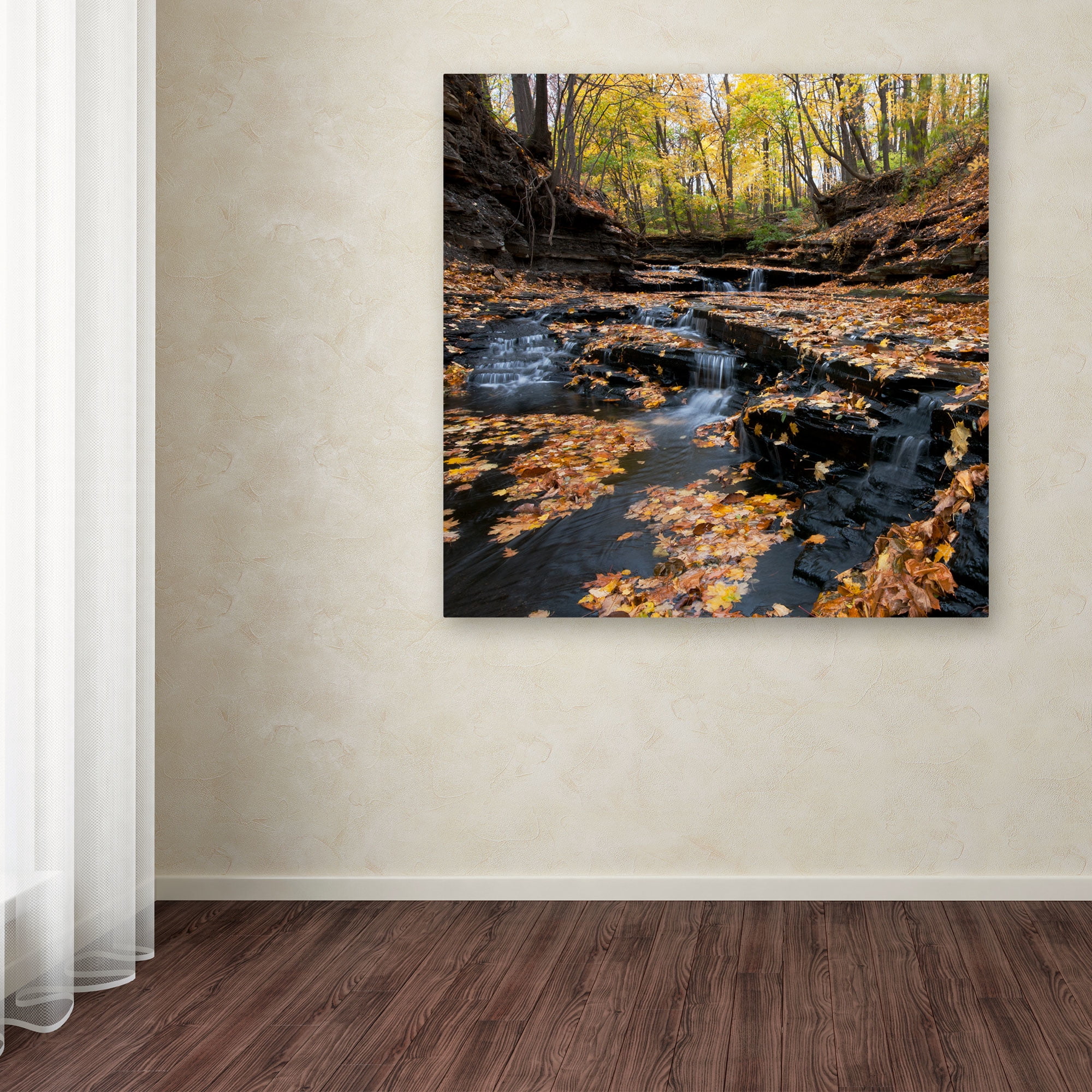 Trademark Fine Art "Late Autumn Falls" Canvas Art by Kurt Shaffer