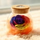 thumbnail image 1 of Rosa preservada en botella de vidrio con luz LED | Decoración floral eterna para dormitorio, sala de estar o escritorio | Regalo romántico para San Valentín, cumpleaños y Navidad., 1 of 6
