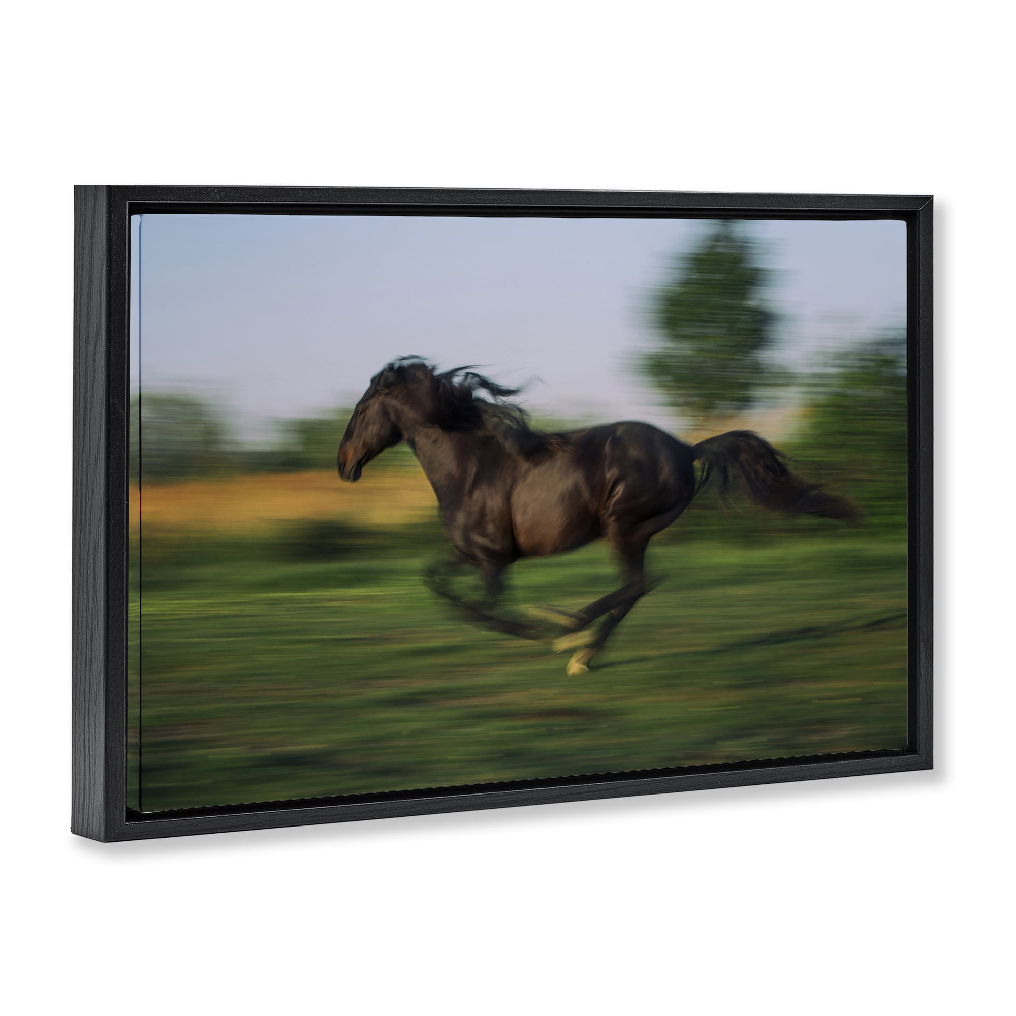 Stupell Industries Dashing Camargue Racehorse Black Framed Floater Canvas Wall Art, design by Scott Stulberg