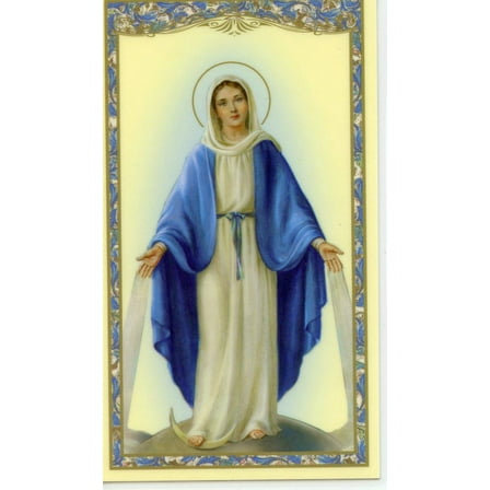 Hail Mary holy card - laminated - Pack of 25