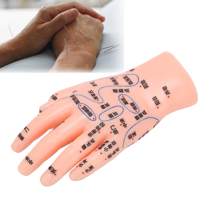 Domqga Modèle d'Acupoint de Main, Modèle de Point d'Acupuncture de Main Gauche Modèle de Zone de Réflexion de Massage d'Acupoint, Modèle de Point d'Acupuncture de Main