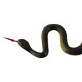 thumbnail image 5 of Juguete de simulación de Serpiente de goma Yashi color negro, 5 of 5