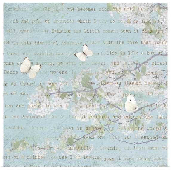 Great BIG Canvas | "Morning Blossoms II" Art Print - 24x24