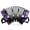 Purple, variant on YueChun Concertinas,20-Key Accordion for Adults, Professional Accordion for Beginners, Adjustable Hand Straps, Instrument Accessories (White)