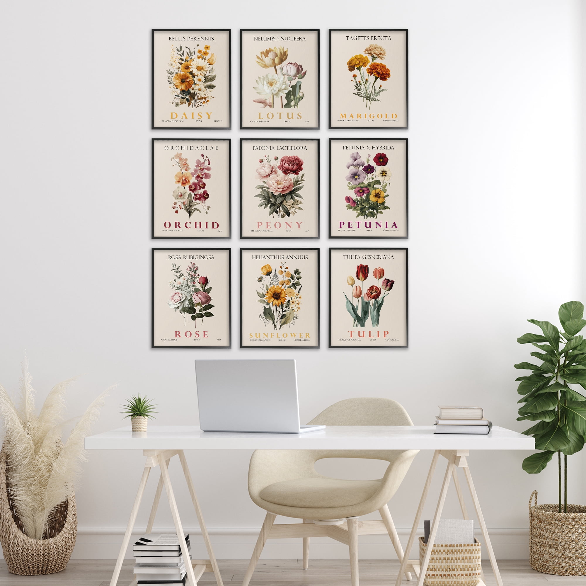 Stupell Industries Nature Botanicals Bundles 9 Piece Black Framed Giclee Art Set, design by Christopher Giampietro