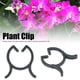 thumbnail image 5 of Clip De Jardín 200 Uds. Soporte Duradero Para Tallos De Flores Y Plantas, 5 of 7