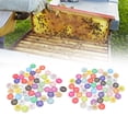 thumbnail image 3 of 50Pcs Round Plastic Number Tags With Hole ,Round Numbered Tags Plastic Small Key Tags for Beekeeping Livestock Farming Mark[1-50], 3 of 7