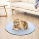 thumbnail image 5 of Almohadilla de hielo para mascotas | Alfombrilla refrescante transpirable de seda de hielo para perros y gatos | Comodidad Primavera y Verano | Fácil de limpiar | Tejido polar suave | Tamaño de 40, 5 of 6