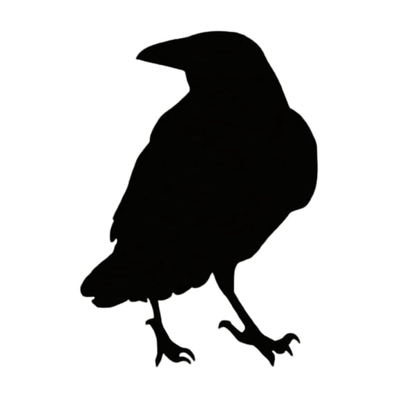 HaiSphere Halloween Decorations Outdoor Black Crow Figurine - Acrylic Vintage Halloween Decor Tabletop Ornament for Halloween Home Decor and Halloween Decorations Indoor,Black