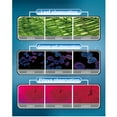 thumbnail image 2 of Labymos Beginner Microscope Science Kits for Kids, with 100X 400X 1200X and LED, Best Gift, 2 of 8