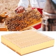 thumbnail image 3 of Box Plastic Bee King Incubator Free Move Harmless Breeding Box Beekeeper Beekeeping Tool, 3 of 7