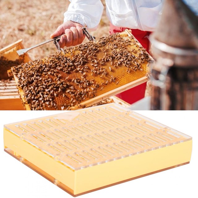 Bee King Incubator, Small Size Lightweight Bee King Breeding Tool, For Bee