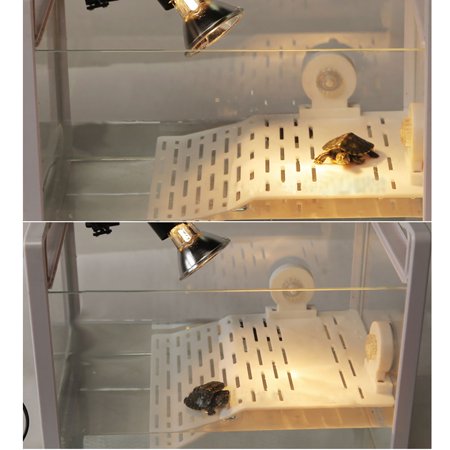 Turtle Bask Platform with Sucking Disk Chinampa Basking Platform Aquarium Terrarium Decoration (Medium) Medium