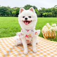 thumbnail image 5 of Vestido apto para mascotas para pasear al aire libre, adecuado para perros y gatos. Ropa Corgi para el verano., 5 of 5