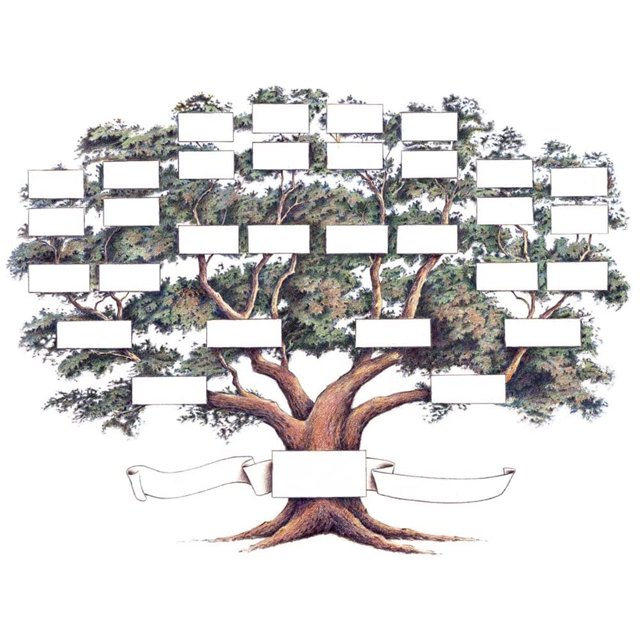 Family Tree Diagram Handwritten Canvas Family History Wall Art