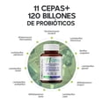 thumbnail image 4 of Suplemento Alimenticio Megabiotic 2 pack Probioticos 120 Billones 11 cepas Salud Digestiva 120 cápsulas MEGABIOTIC 2 Pack Probióticos, 4 of 8