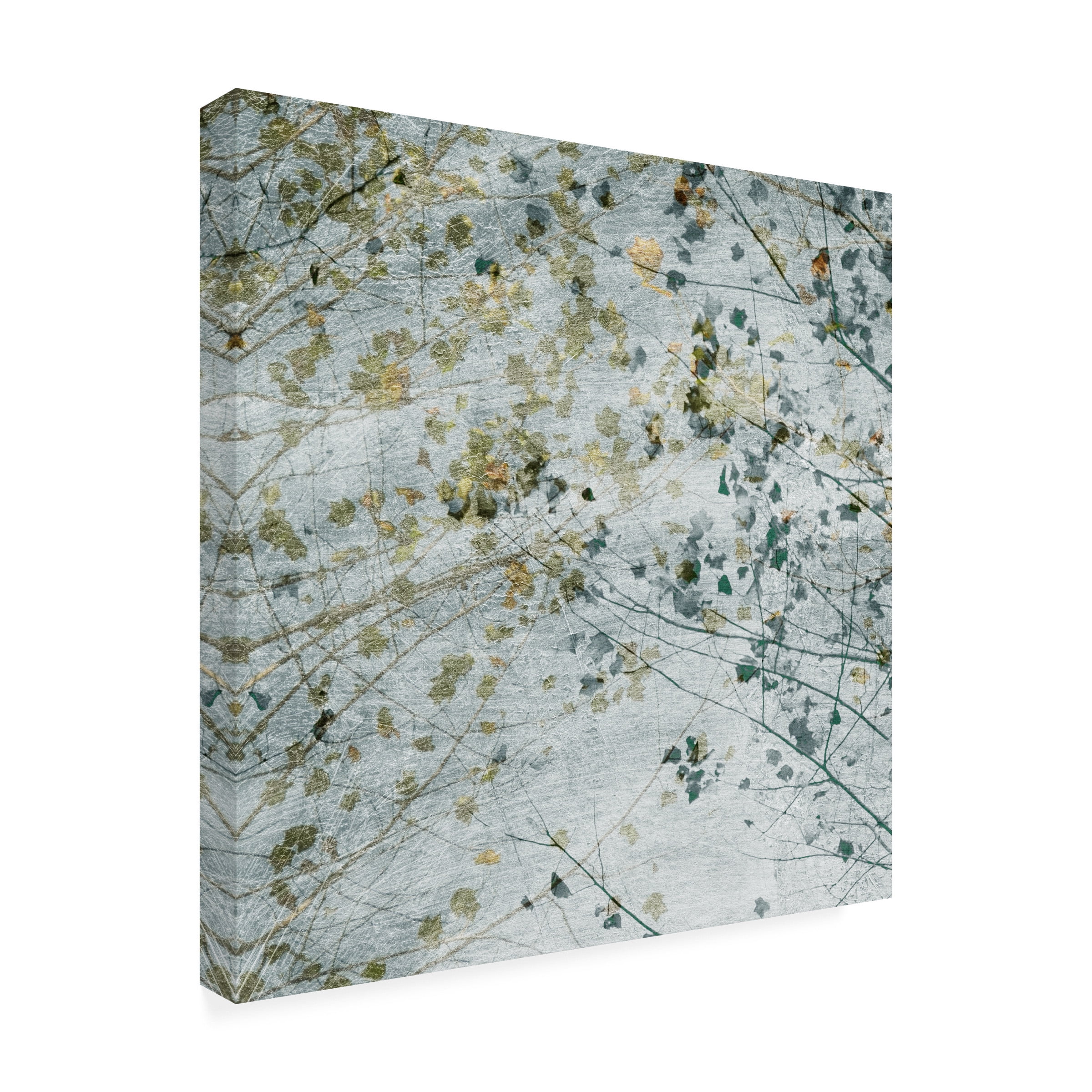 Sharon Chandler 'Seasonal Transition II' Canvas Art