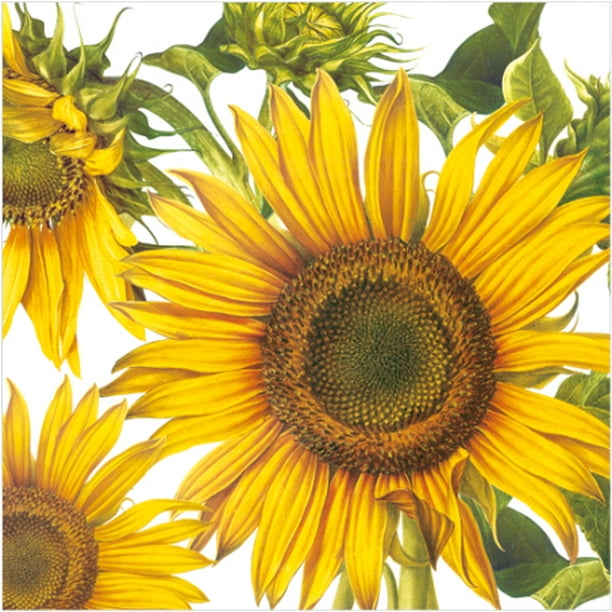 Big Sunflowers Autumn Floral Lunch Paper Napkins 40pcs Perfect for Decoupage, Party