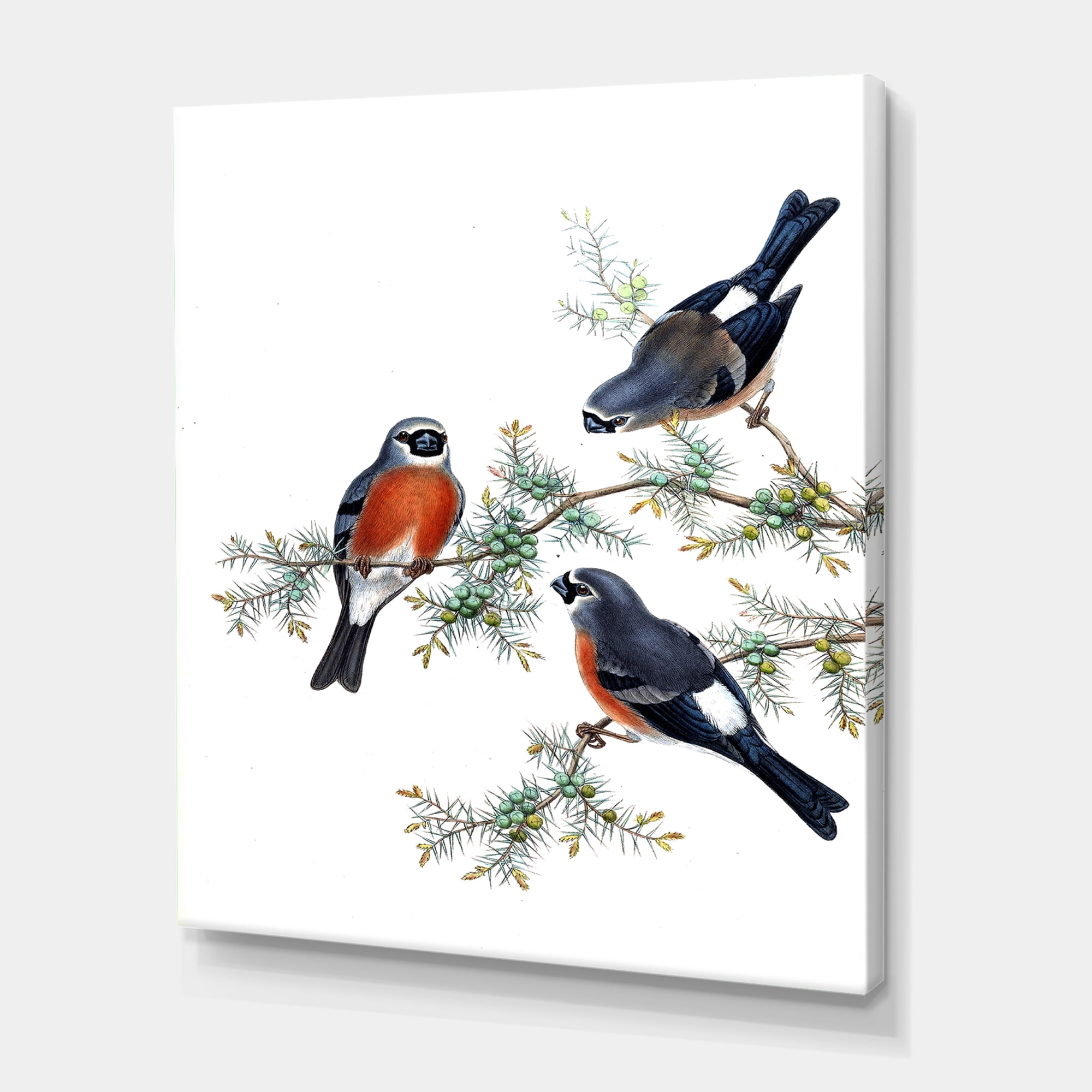 Designart ' Vintage Countryside Birds On Branch III ' Farmhouse Canvas Wall Art Print