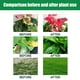 thumbnail image 5 of Oferta por tiempo limitado!Tableta de liberación sostenida para crecimiento de plantas Moonspry, maceta para flores, crecimiento de raíces de cabello, tableta para el cuidado nutricional, 5 of 5