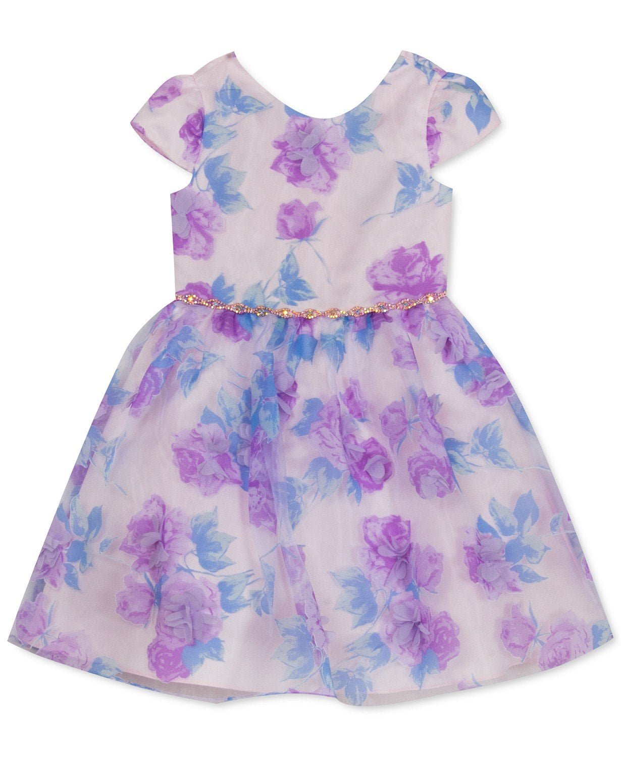 Rare Editions Toddler Girls Flower Applique Dress 