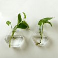 thumbnail image 1 of Hanging Flower Pot Glass Vase Terrarium Wall Fish Tank Aquarium Container DE, 1 of 4