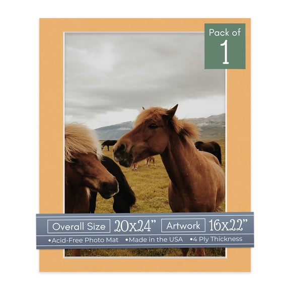 Topaz Orange Picture Frame Mat for 20x24 Frames - Fits 16x22 Photos - 1 Mat