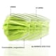 thumbnail image 3 of Cubrebocas Verde  4 capas ALKA-G 004, 3 of 5