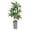 #264Dark Gray, variant on 5-Foot Artificial Dracaena Plant, Realistic Tropical Floor Tree for Indoor Outdoor, No Watering No Sunlight Maintenance-Free, Ideal for Living Room Office Corner Decor