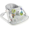 Fisher-Price Infant Sit-Me-up Floor Seat