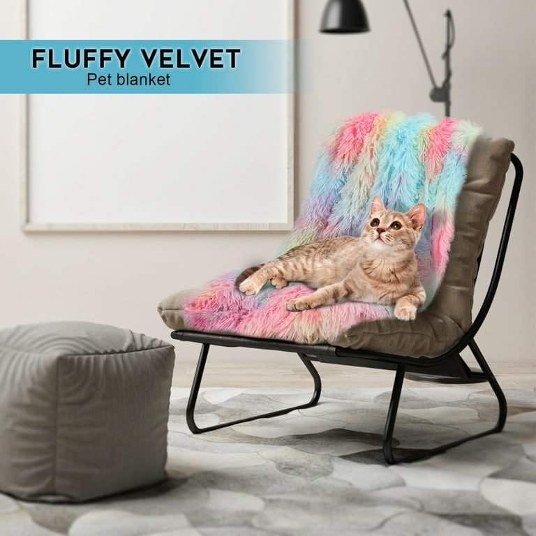 Walmart pet online blankets