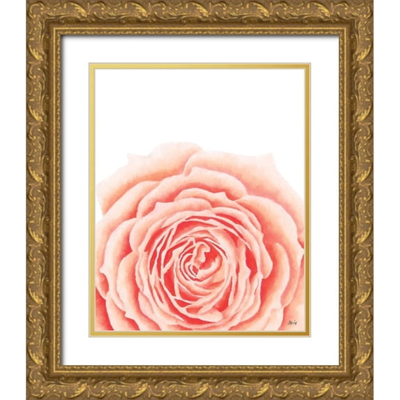Fay, Mela 20x24 Gold Ornate Wood Framed with Double Matting Museum Art Print Titled - Light Orange Rose