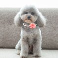 thumbnail image 4 of Collier pour Chien Mode Fausse Fleur Décor Perle Collier pour Animaux Collier pour Chien, 4 of 6
