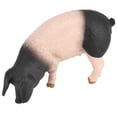 thumbnail image 1 of Figura de cerdo de Animal de granja, modelo educativo cognitivo, decoración de juguete para niños, ornamento 127-1138, 1 of 9