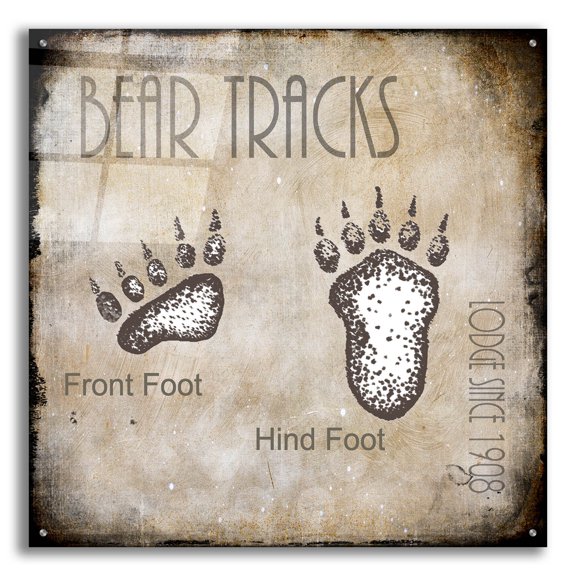 Epic Art 'Moose Lodge 2 - Bear Tracks 2' by Lightbox Journal, Acrylic Glass Wall Art, 36"x36"