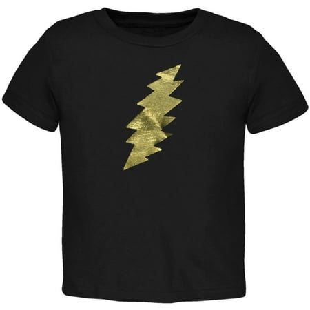 

Grateful Dead Toddler Boy Black Bolt Short Sleeve T Shirt