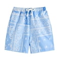 thumbnail image 2 of Kids Shorts Boys Girls Elastic Waist Comfortable Casual Playwear Breathable Shorts for Boys Daily Wear, 2 of 3