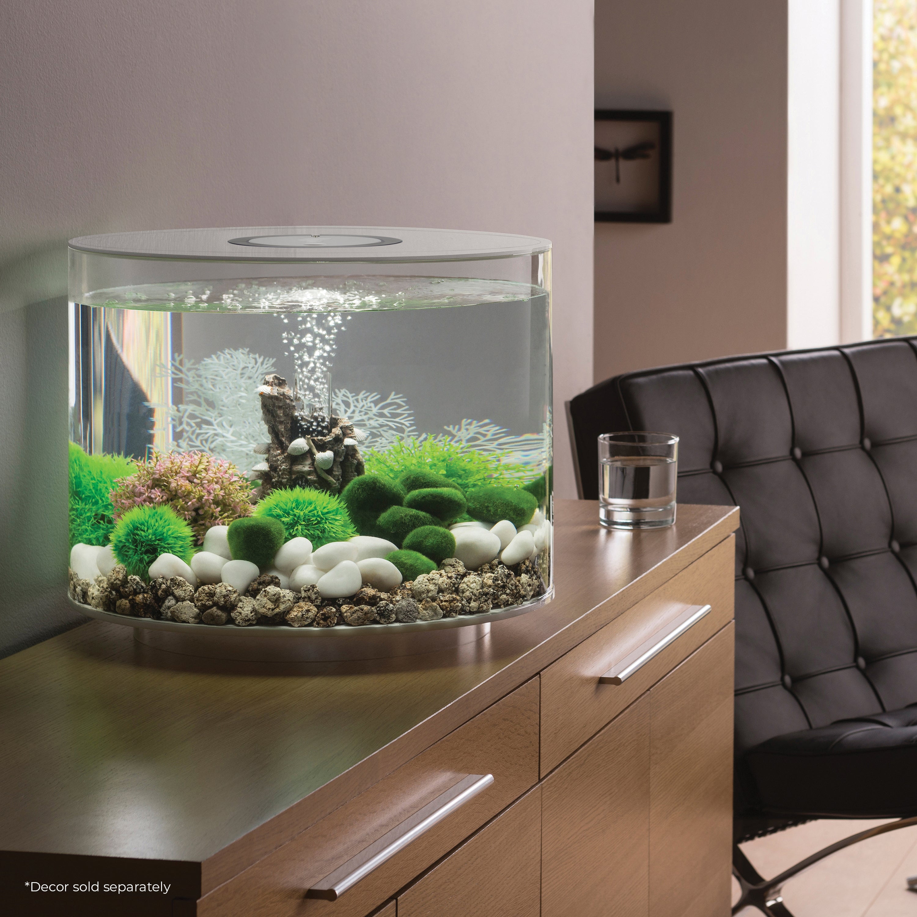 biOrb TUBE 35 Aquarium with Standard Light - 9.2 gallon, white