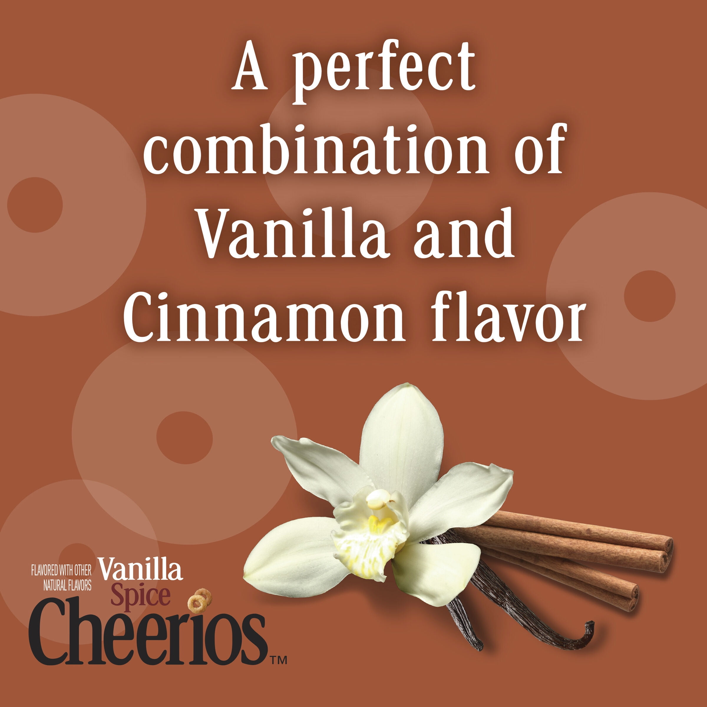Vanilla Spice Cheerios Heart Healthy Cereal, Gluten Free Cereal With Whole Grain Oats, Family Size, 18 oz