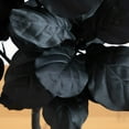 thumbnail image 2 of Nearly Natural Potted Fiddle Leaf Artificial Halloween Tree - 6' - Unlit, 2 of 4