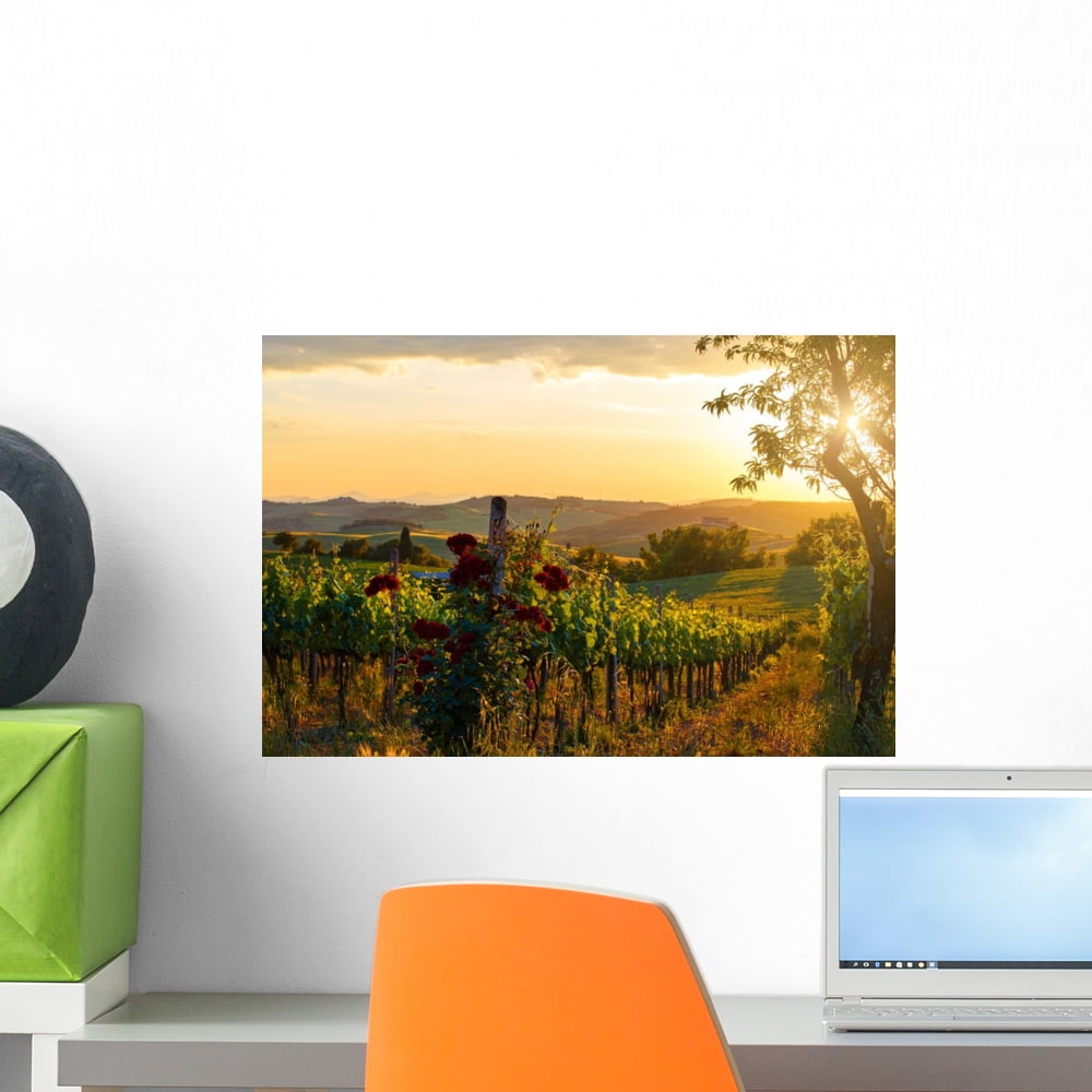 Tuscany Vineyards Fall Wall Mural Decal Sticker, Wallmonkeys Peel